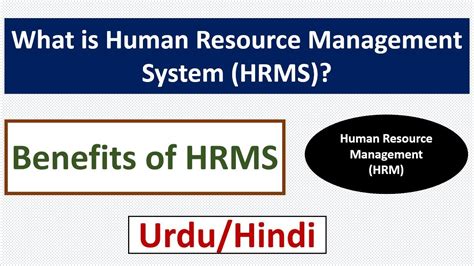 hrms.serendipity|serendipity bedeutung.